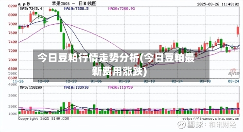 今日豆粕行情走势分析(今日豆粕最新费用涨跌)