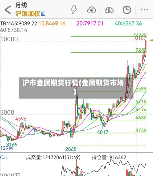 沪市金属期货行情(金属期货市场)