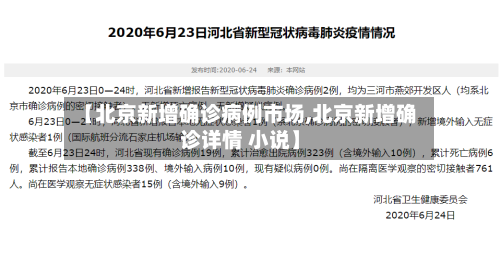【北京新增确诊病例市场,北京新增确诊详情 小说】