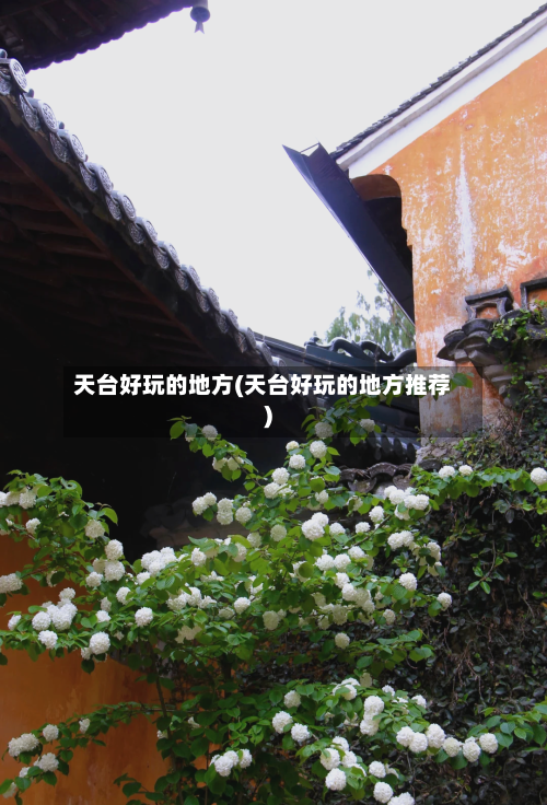 天台好玩的地方(天台好玩的地方推荐)