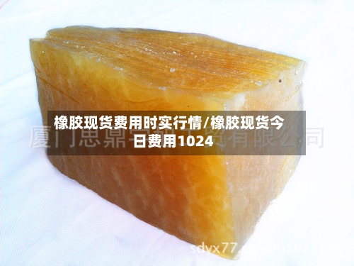 橡胶现货费用时实行情/橡胶现货今日费用1024