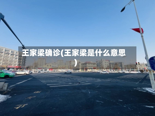 王家梁确诊(王家梁是什么意思)-第2张图片