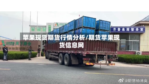 苹果现货期货行情分析/期货苹果现货信息网-第1张图片