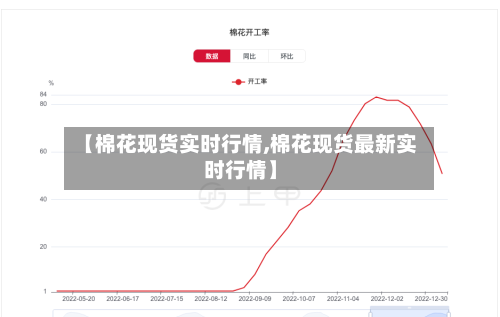 【棉花现货实时行情,棉花现货最新实时行情】-第1张图片