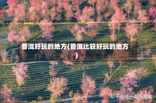 普洱好玩的地方(普洱比较好玩的地方)-第1张图片