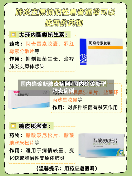 国内确诊新肺炎病例/国内确诊新型肺炎病例-第3张图片