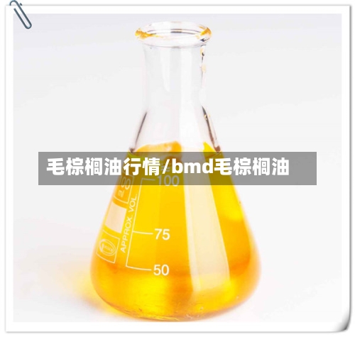 毛棕榈油行情/bmd毛棕榈油