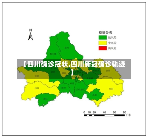 【四川确诊冠状,四川新冠确诊轨迹】-第2张图片