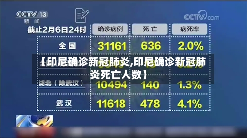 【印尼确诊新冠肺炎,印尼确诊新冠肺炎死亡人数】-第2张图片