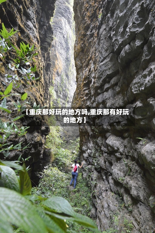 【重庆那好玩的地方吗,重庆那有好玩的地方】-第3张图片