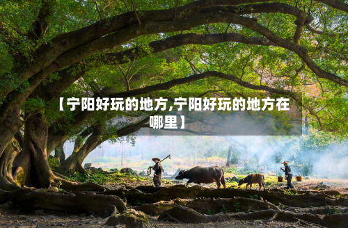【宁阳好玩的地方,宁阳好玩的地方在哪里】