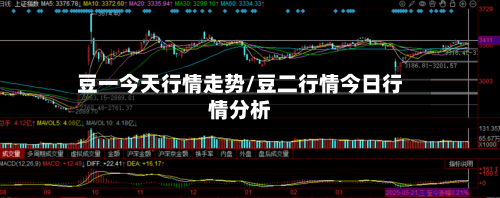 豆一今天行情走势/豆二行情今日行情分析