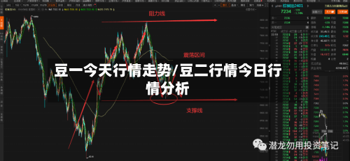 豆一今天行情走势/豆二行情今日行情分析-第3张图片