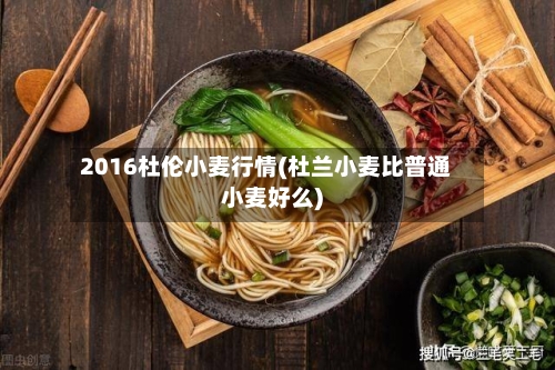 2016杜伦小麦行情(杜兰小麦比普通小麦好么)