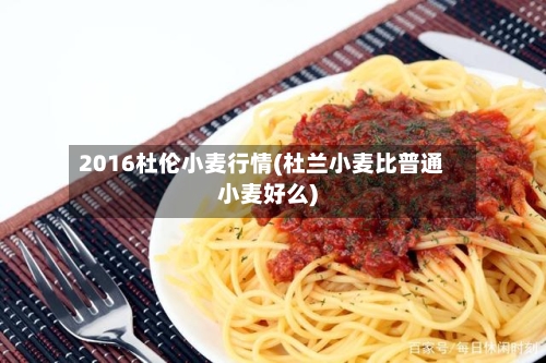 2016杜伦小麦行情(杜兰小麦比普通小麦好么)-第3张图片
