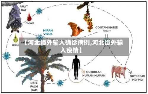 【河北境外输入确诊病例,河北境外输入疫情】-第1张图片