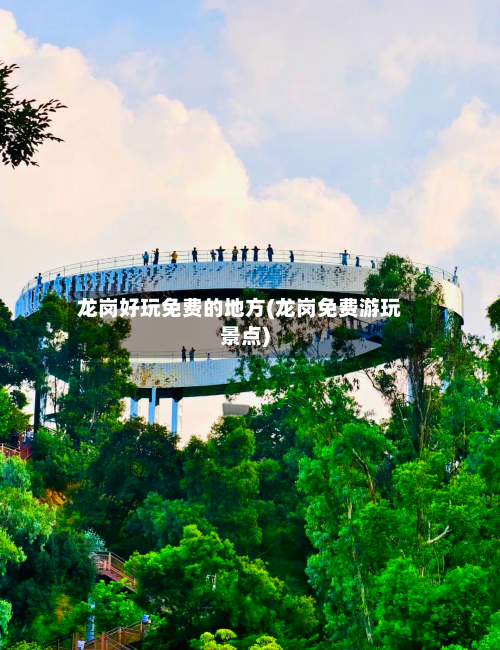 龙岗好玩免费的地方(龙岗免费游玩景点)