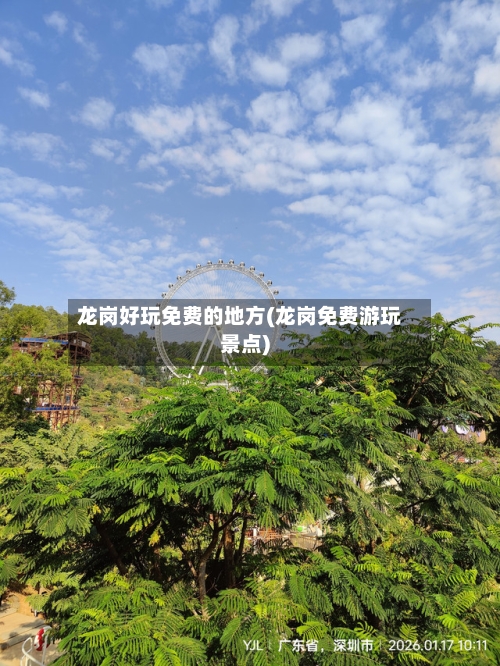 龙岗好玩免费的地方(龙岗免费游玩景点)-第2张图片