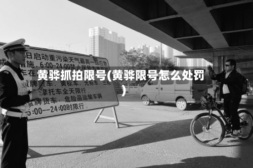 黄骅抓拍限号(黄骅限号怎么处罚)-第1张图片