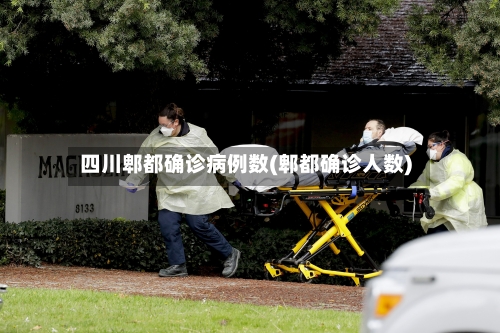 四川郫都确诊病例数(郫都确诊人数)-第1张图片