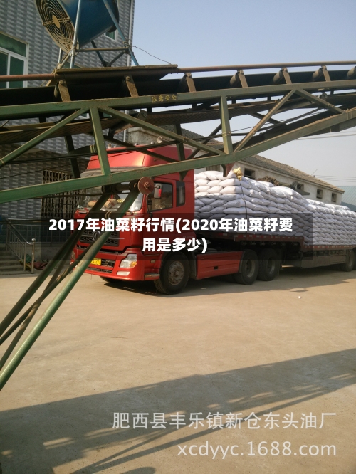 2017年油菜籽行情(2020年油菜籽费用是多少)-第1张图片