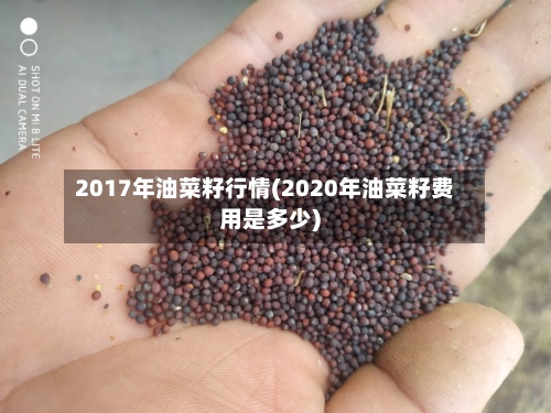 2017年油菜籽行情(2020年油菜籽费用是多少)-第3张图片