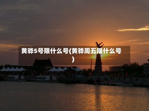 黄骅5号限什么号(黄骅周五限什么号)-第1张图片