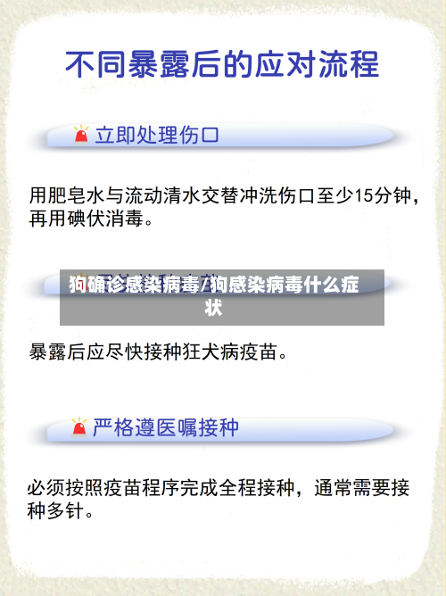 狗确诊感染病毒/狗感染病毒什么症状-第2张图片