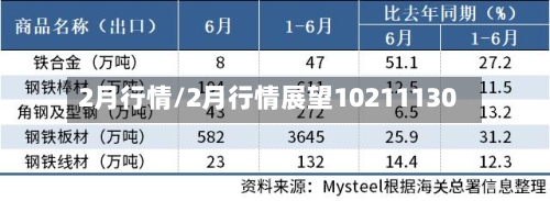 2月行情/2月行情展望10211130-第1张图片