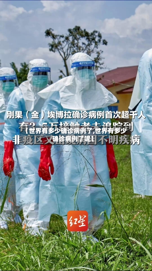 【世界有多少确诊病例了,世界有多少确诊病例了呢】