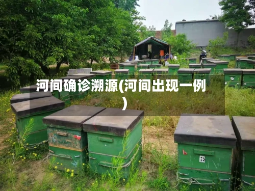 河间确诊溯源(河间出现一例)-第1张图片
