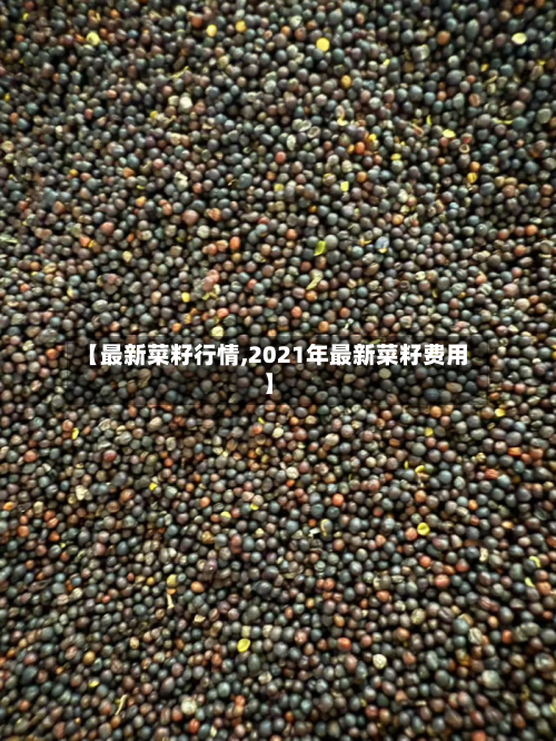 【最新菜籽行情,2021年最新菜籽费用】
