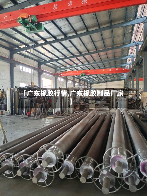 【广东橡胶行情,广东橡胶制品厂家】-第1张图片