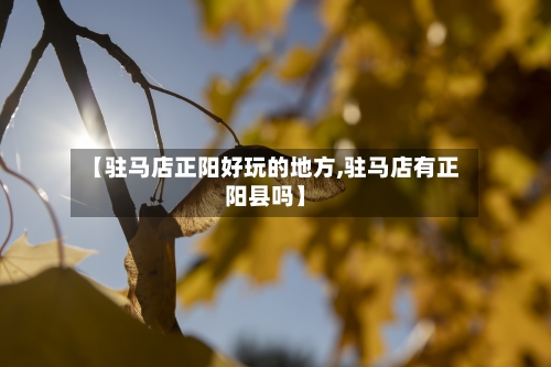 【驻马店正阳好玩的地方,驻马店有正阳县吗】