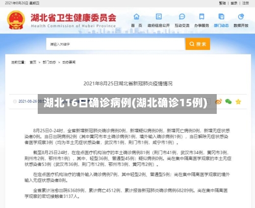 湖北16日确诊病例(湖北确诊15例)-第2张图片