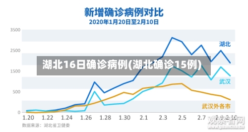 湖北16日确诊病例(湖北确诊15例)