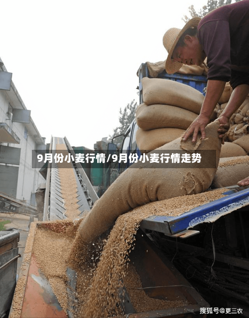 9月份小麦行情/9月份小麦行情走势-第2张图片