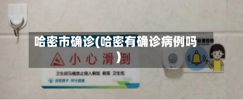 哈密市确诊(哈密有确诊病例吗)