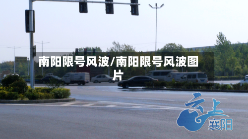南阳限号风波/南阳限号风波图片-第3张图片