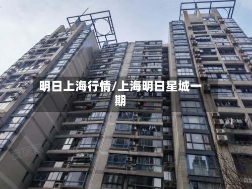 明日上海行情/上海明日星城一期