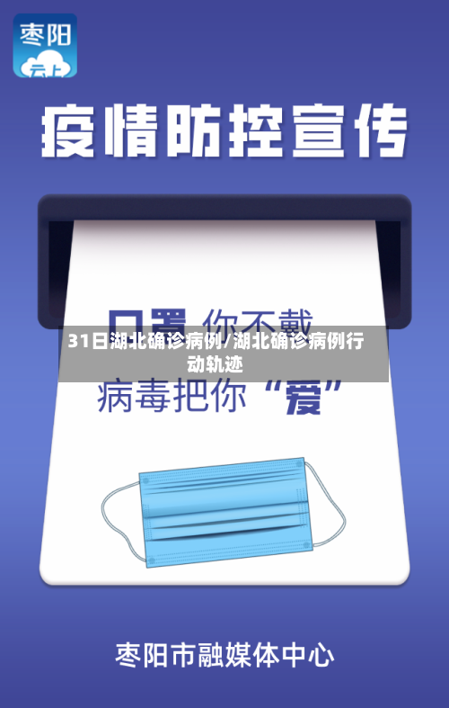 31日湖北确诊病例/湖北确诊病例行动轨迹-第2张图片