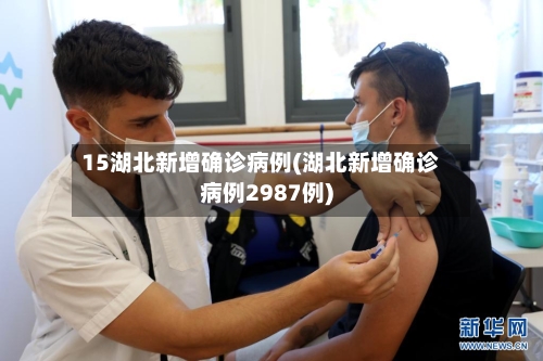 15湖北新增确诊病例(湖北新增确诊病例2987例)-第3张图片