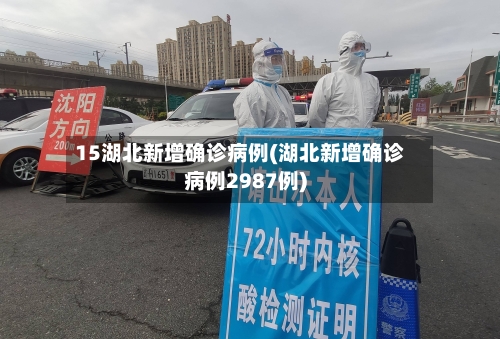 15湖北新增确诊病例(湖北新增确诊病例2987例)