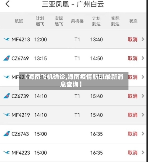 【海南飞机确诊,海南疫情航班最新消息查询】-第2张图片