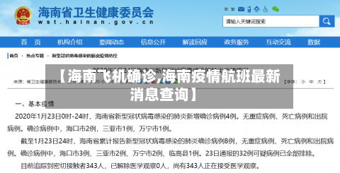 【海南飞机确诊,海南疫情航班最新消息查询】-第3张图片