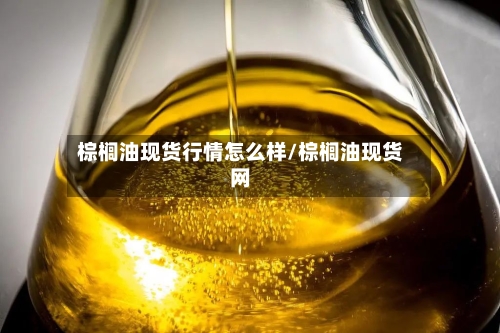 棕榈油现货行情怎么样/棕榈油现货网
