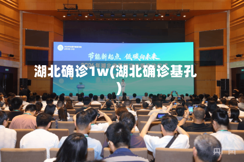 湖北确诊1w(湖北确诊基孔)-第2张图片