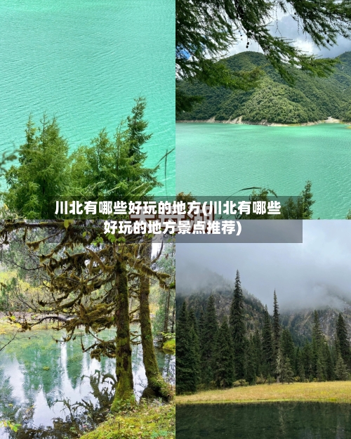 川北有哪些好玩的地方(川北有哪些好玩的地方景点推荐)-第2张图片