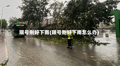限号刚好下雨(限号刚好下雨怎么办)-第2张图片