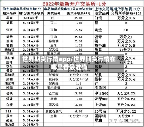 世界期货行情app/世界期货行情在哪里看最准确-第2张图片